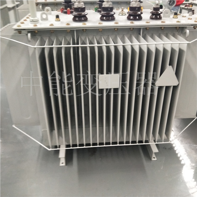 阿拉善S20-800KVA变压器