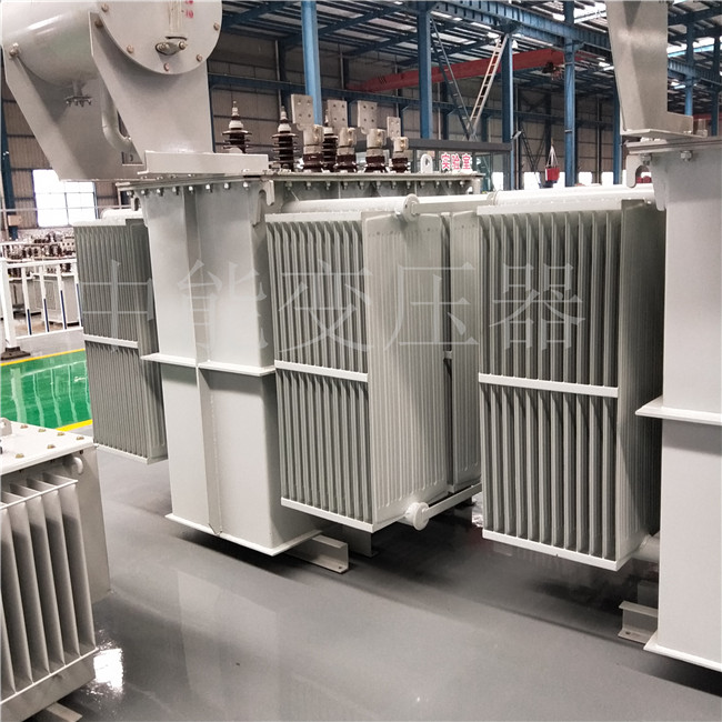 阿拉善S13-800KVA/6KV/0.4KV变压器
