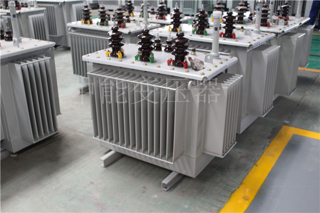 阿拉善S22-100KVA/10KV/0.4KV变压器
